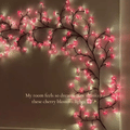Cherry Blossom Lights